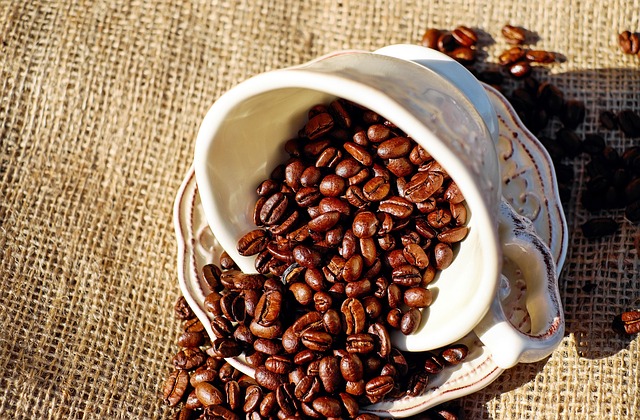 Close-up of premium, freshly roasted Velvet Roast beans, emphasizing quality.